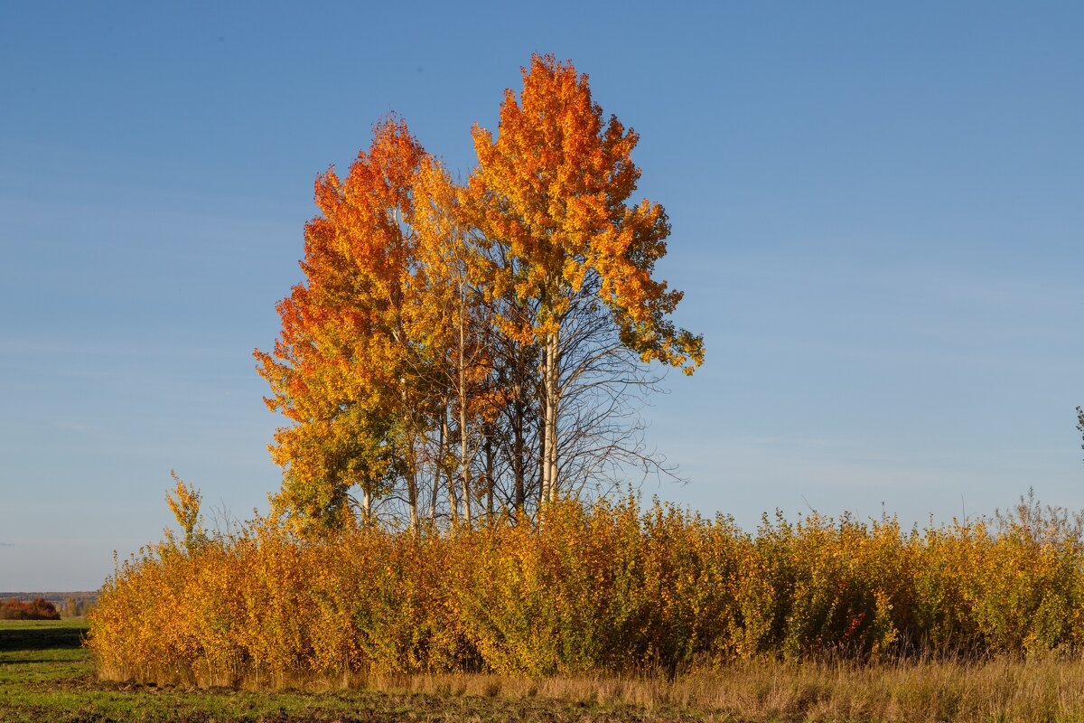 корабль осени - Виктор Ковчин