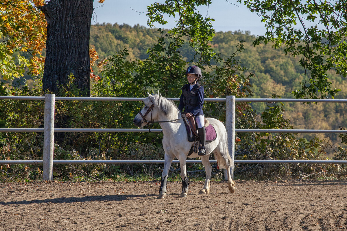 * - Александр Лисовский