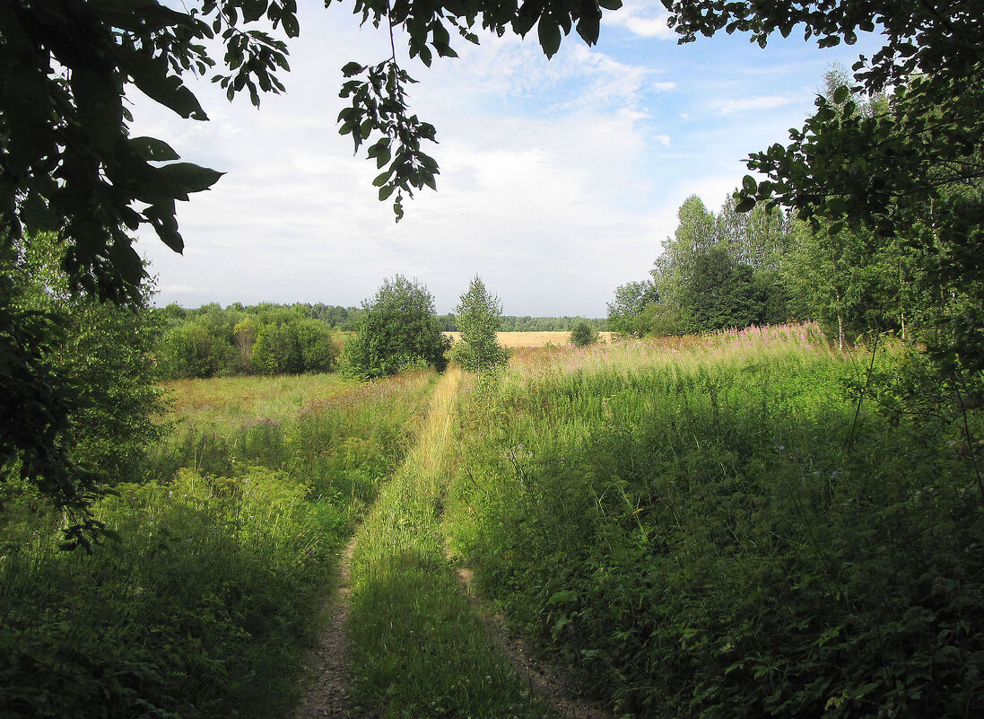 На краю парка - Александр Ильчевский 