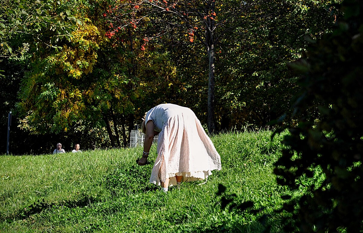 Кормление черепах - ответственное дело ! - Анатолий Колосов
