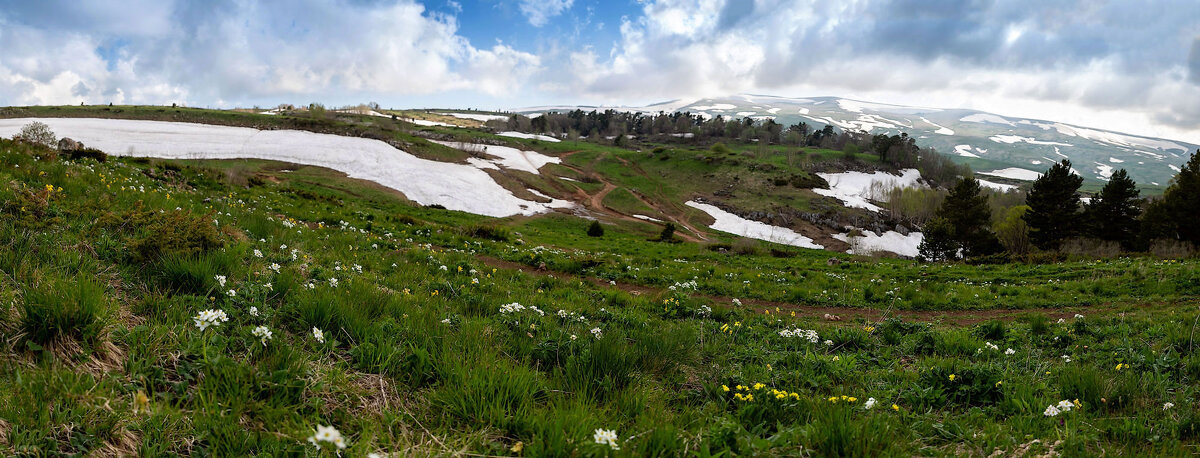 Плато Лаго-Наки летом. Адыгея. - Дина Евсеева