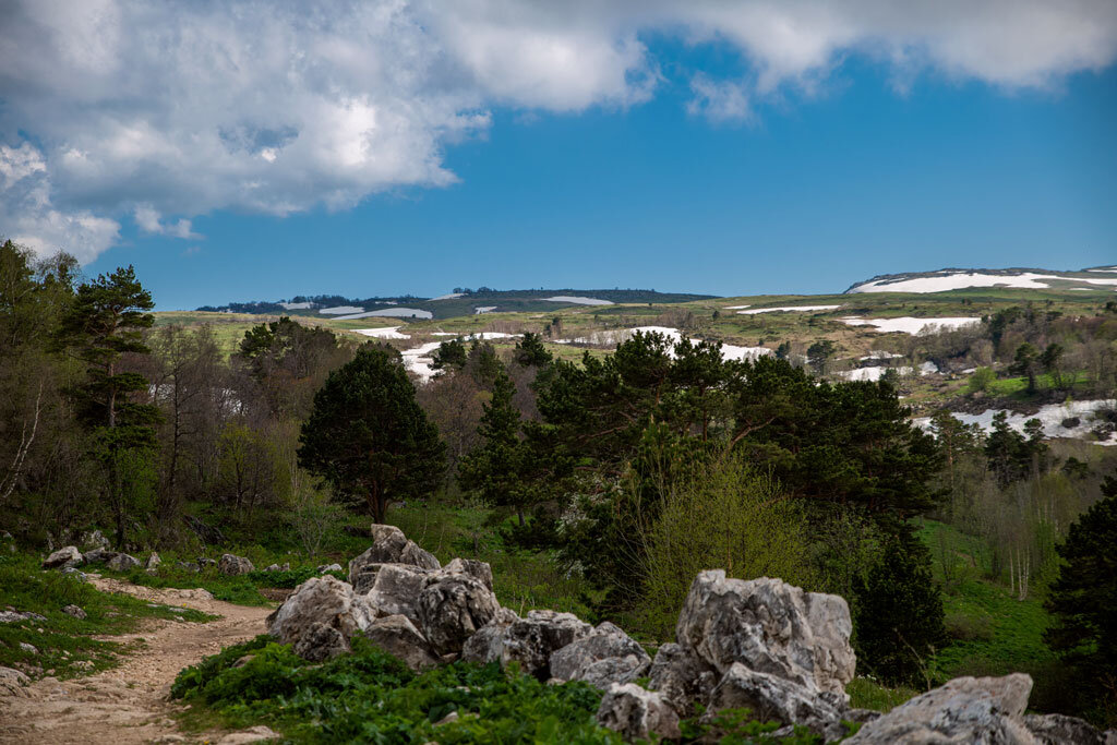 Плато Лаго-Наки летом. Адыгея. - Дина Евсеева