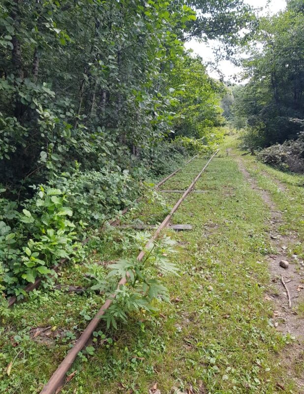 Посёлок Отдалённый - Tata Wolf