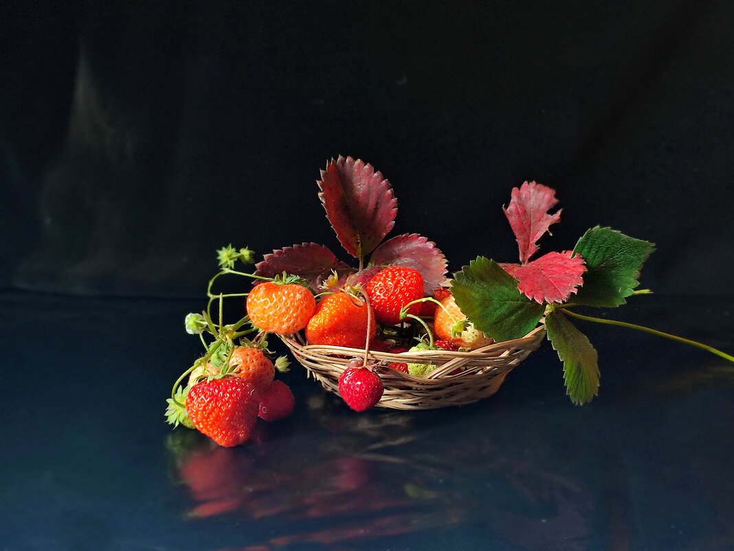 В сенрябре - Валентина Богатко 