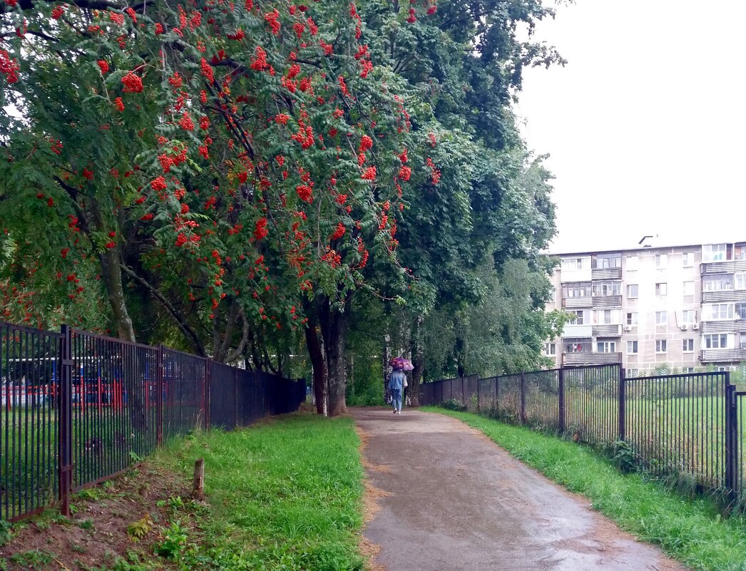 Когда на улице дождь - Galina Solovova Когда на улице дождь - Galina Solovova