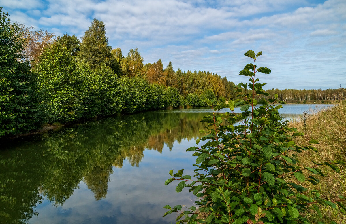 Цвет осени 8 - Андрей Дворников