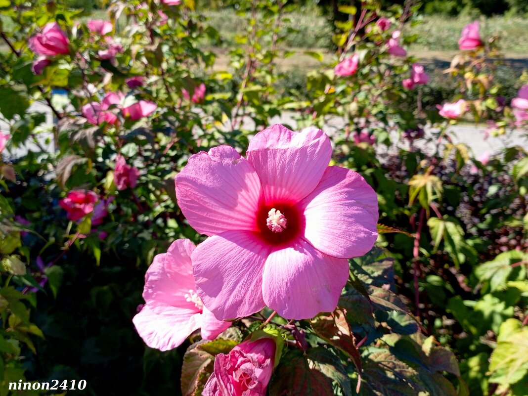 В ростовском экопарке Первая миля - Нина Бутко
