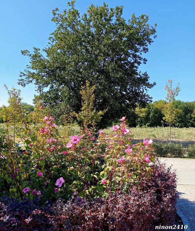 В ростовском экопарке Первая миля - Нина Бутко