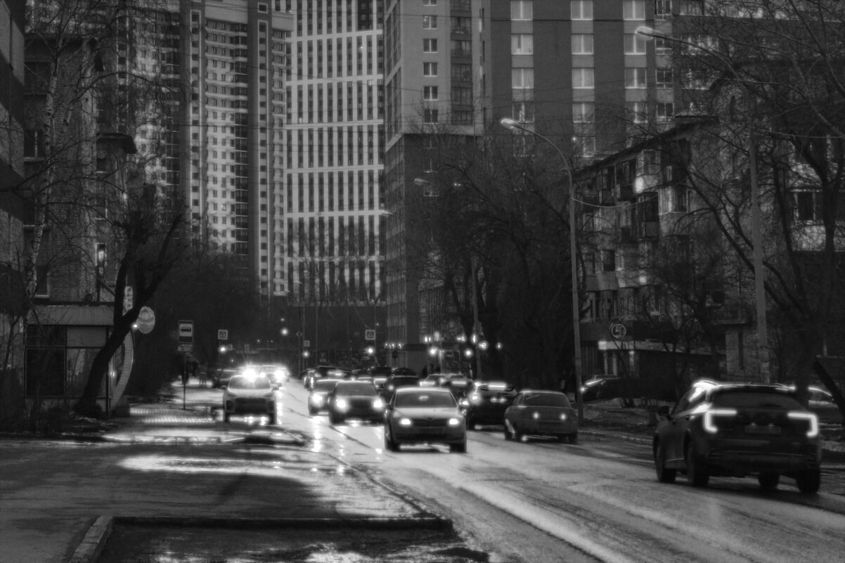 Джунгли - Сергей Сергеев