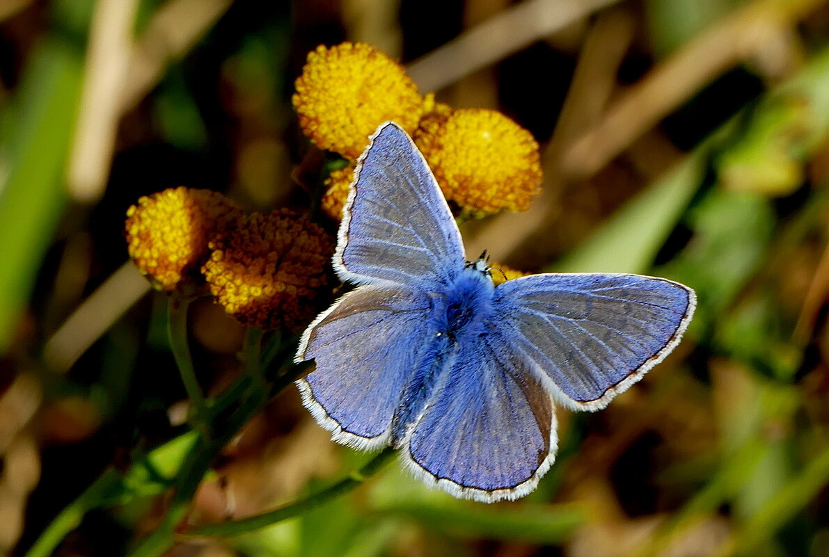 Из сегодняшней съёмки 5 - Александр Прокудин Из сегодняшней съёмки 5 - Александр Прокудин