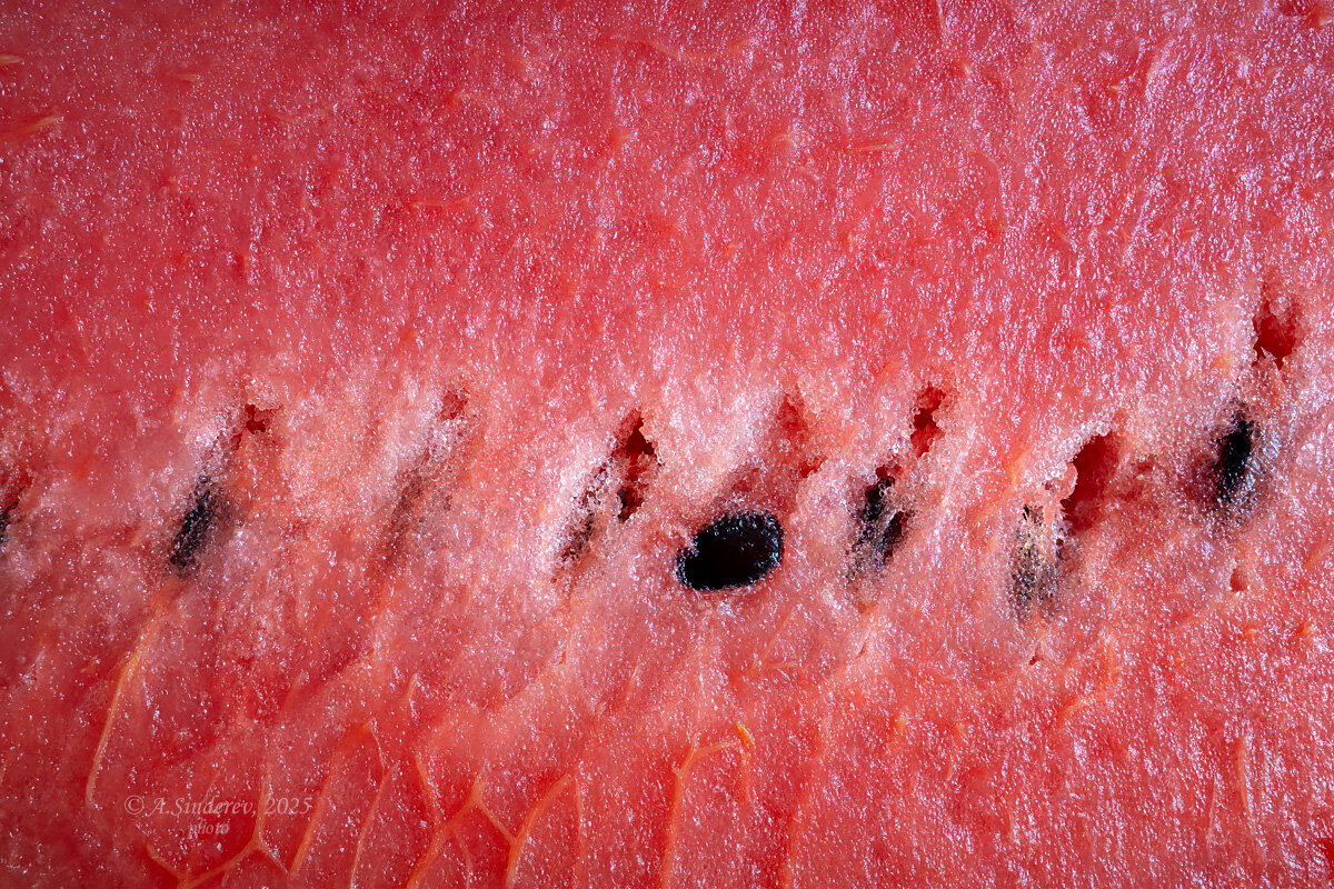 Арбуз макро - Александр Синдерёв