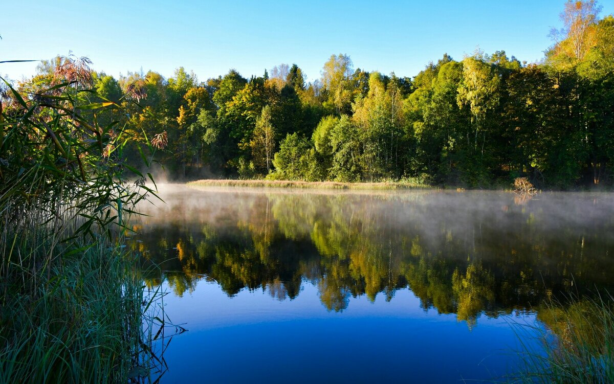 Осеннее утро на озере. - Милешкин Владимир Алексеевич 