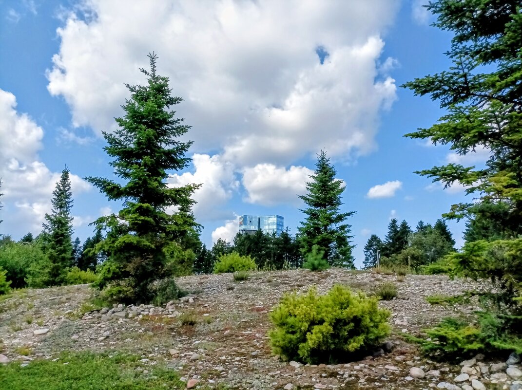 Прогулка по зоопарку - Veera V