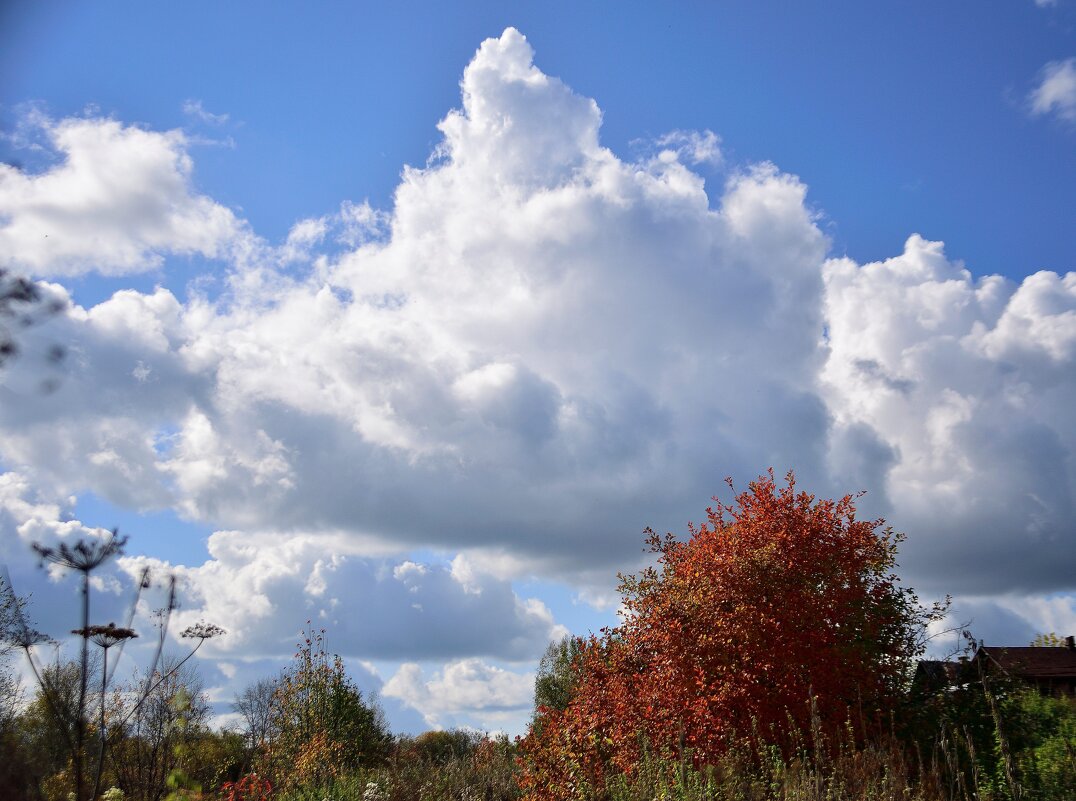 Осенний этюд. - Владимир Мигонькин