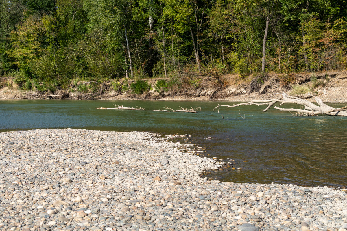Река Кубань и деревья - Игорь Сикорский