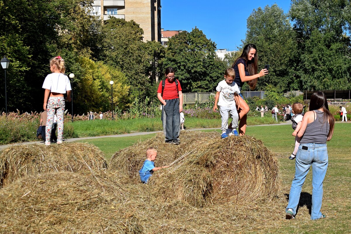 Жаркий день сентября на сеновале. - Татьяна Помогалова