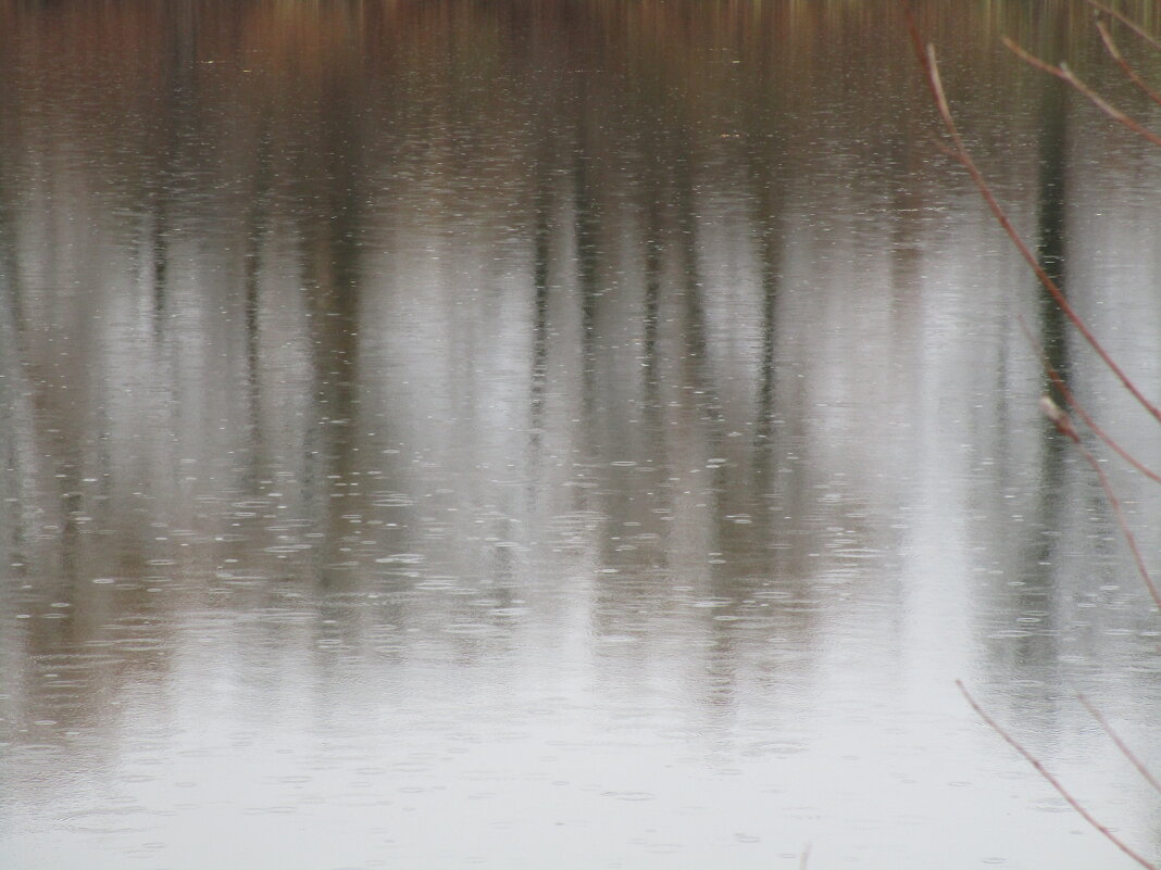 ноябрь - Елена Шаламова