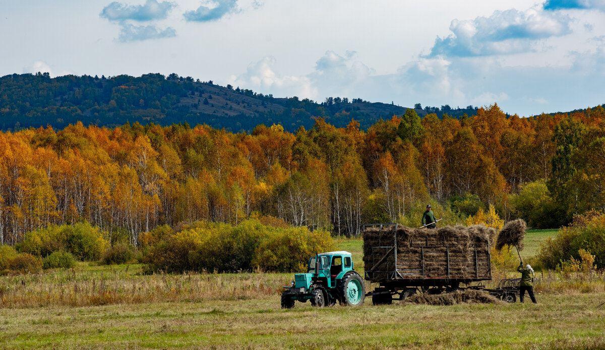 Осень - Петр 