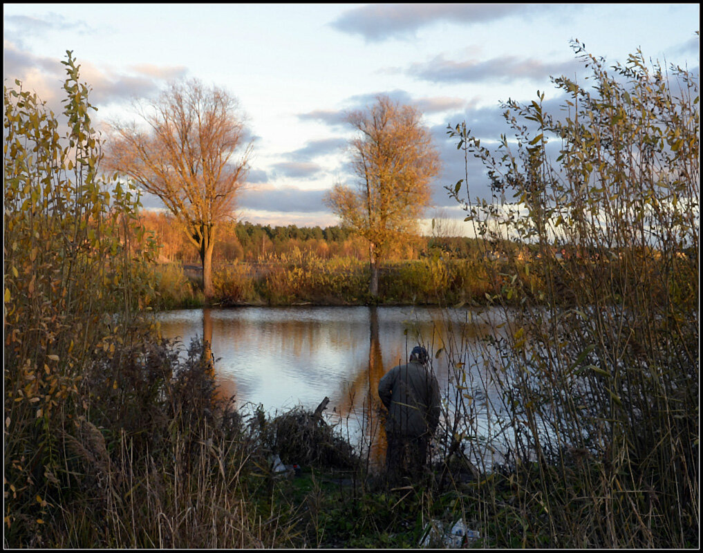 *** - Aleksandr Gal *** - Aleksandr Gal