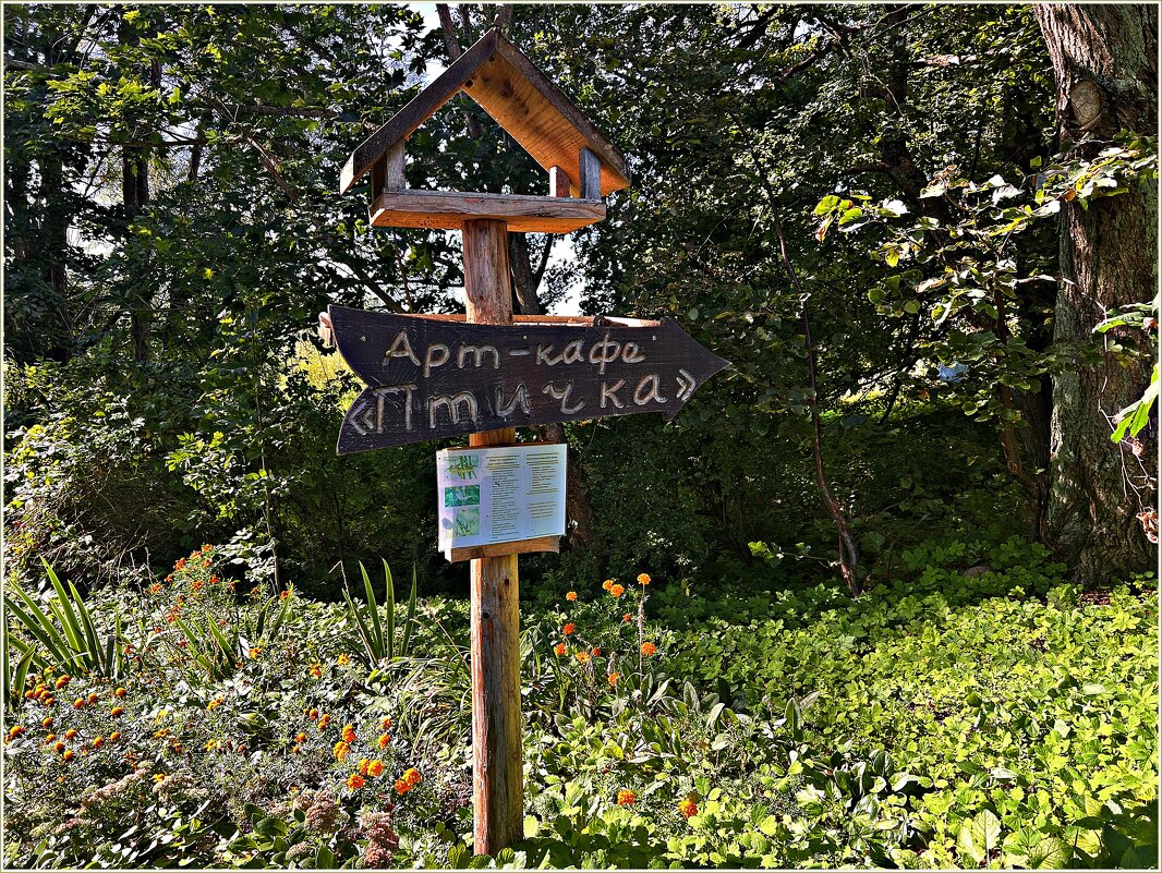 Кафе в Февральском. - Валерия Комова