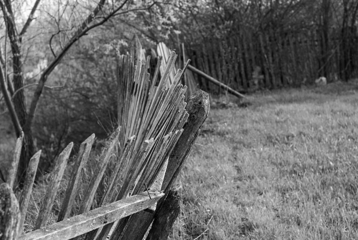 Старый забор - Владимир Иванович