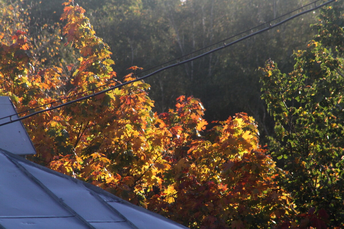 Оформление крыши - олег свирский 