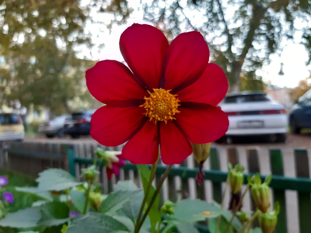 Осень в городе - Галина Минчук