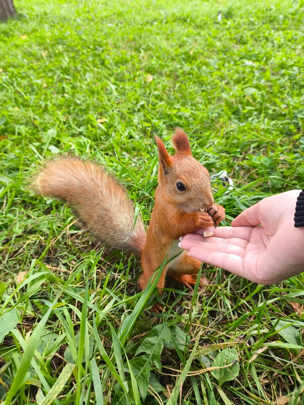 В парке - Валентина Богатко 