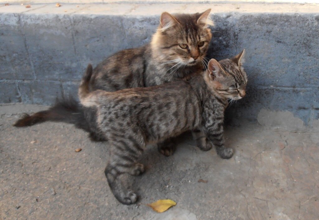 С папой - Наталья 