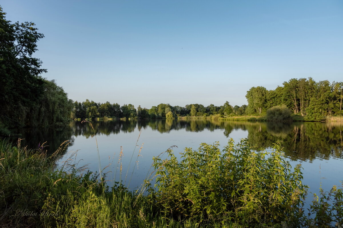 *** - Николай Гирш *** - Николай Гирш