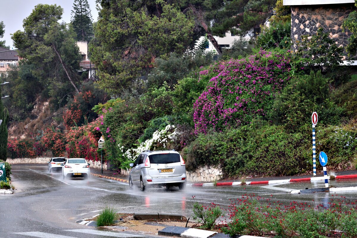 25 сентября пошел первый дождь,очень долгожданный - Аркадий Басович