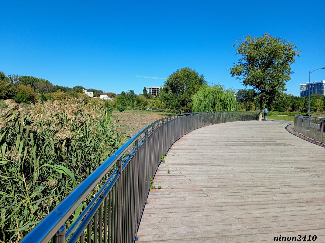 В ростовском экопарке Первая миля - Нина Бутко