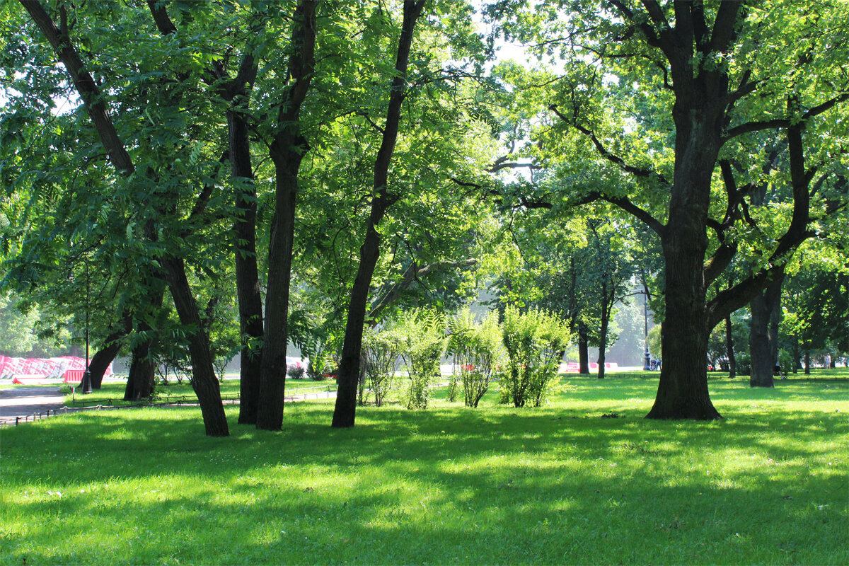 Сад в Адмиралтейском районе Санкт-Петербурга. - Любовь ***
