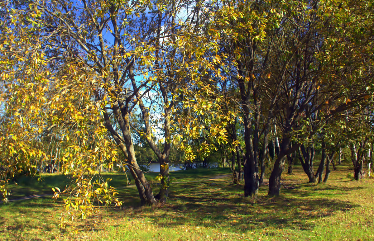 ... - Вячеслав Минаев