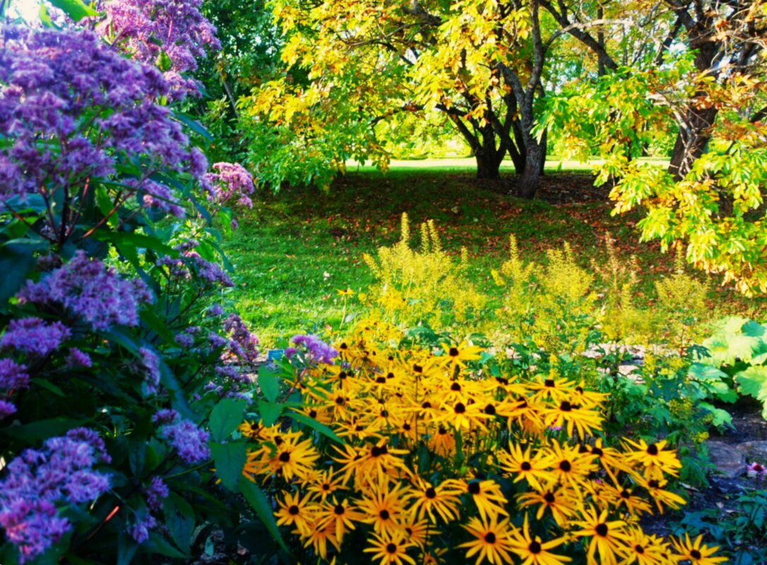 Начало листопада в сентябре 2025г. - Aida10 