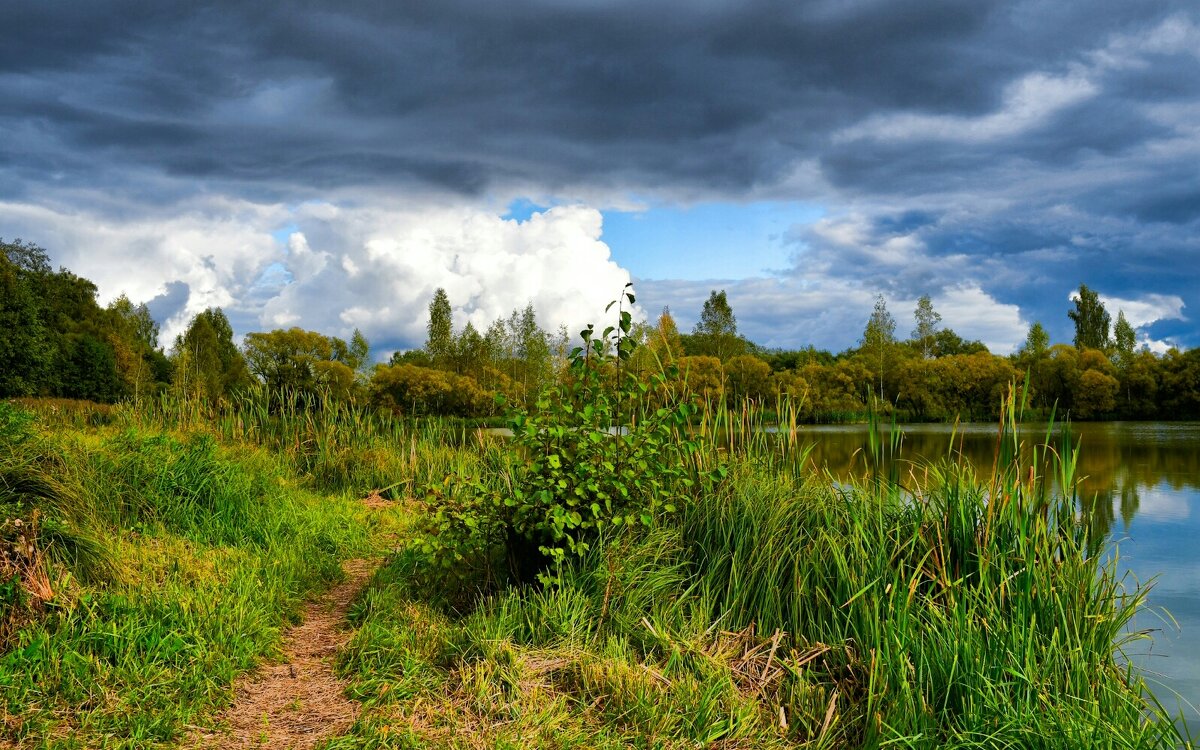 Осенняя пора на Смоленщине. - Милешкин Владимир Алексеевич 