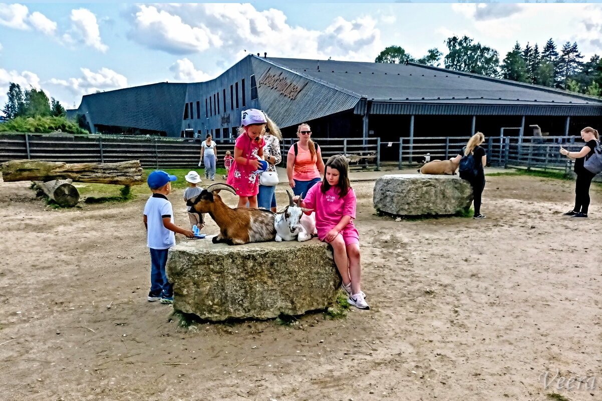 Детский уголок зоопарка - Veera V