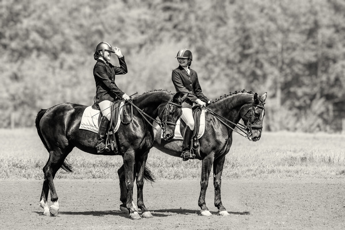 Выездка - SanSan 