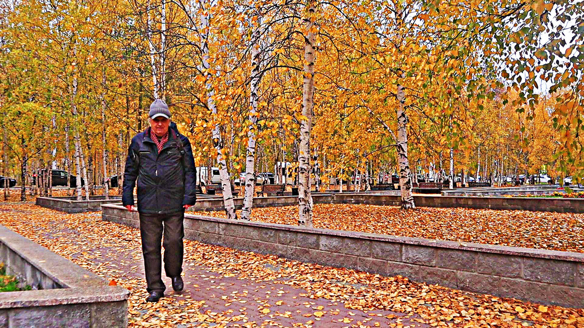 Осень...Пора листопада! - Владимир 