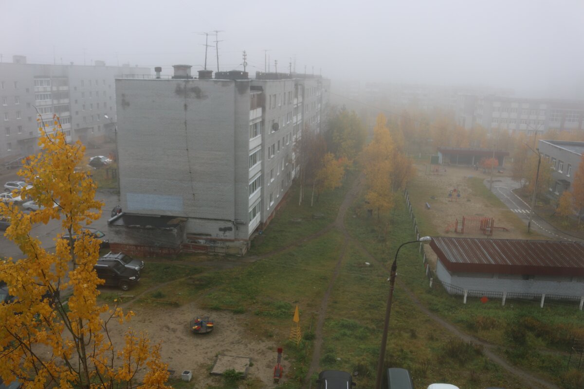 Утренний туман - Ольга 