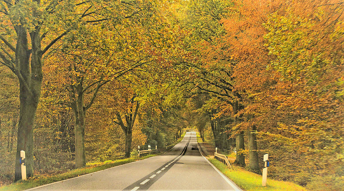 По дорогам осени - Галина Шеина-Мюльдорфер