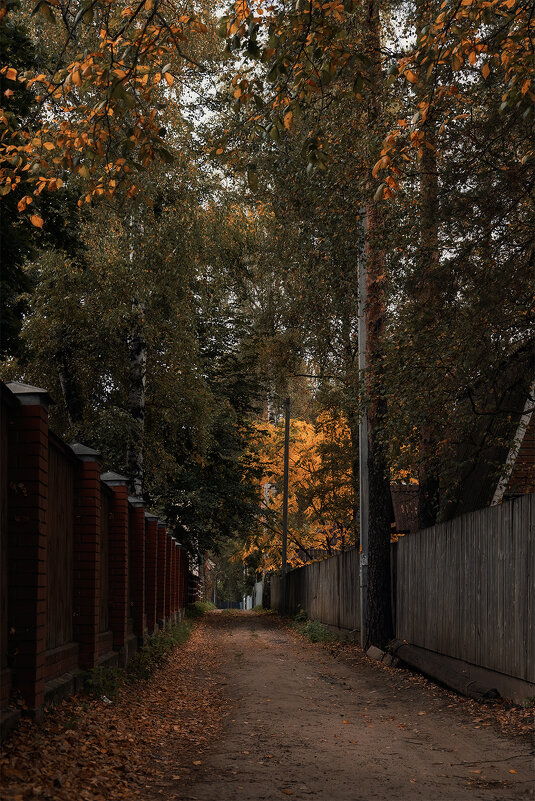 переулочки - Michel 