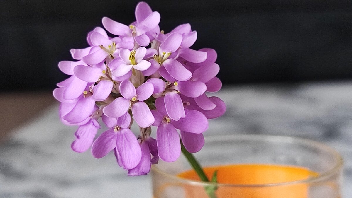 ,,, - Сергей Тимоновский ,,, - Сергей Тимоновский