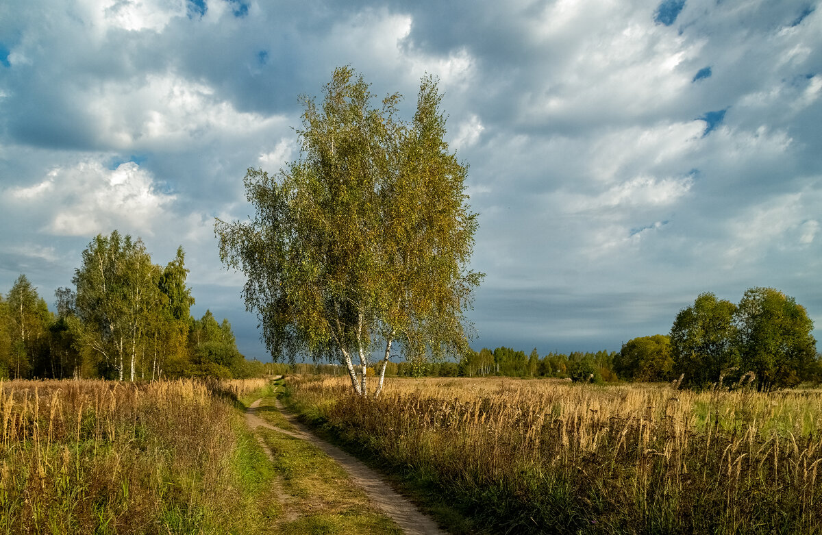 Бабье лето 2 - Андрей Дворников