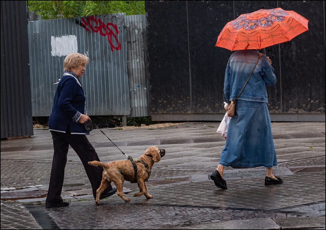 Прогулка под дождём - Александр Тарноградский
