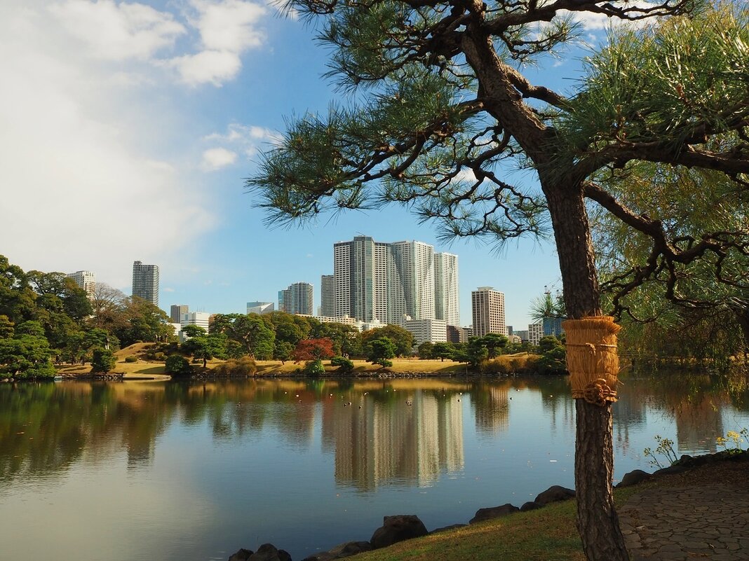 Прогулки по Токио - Civetta ***