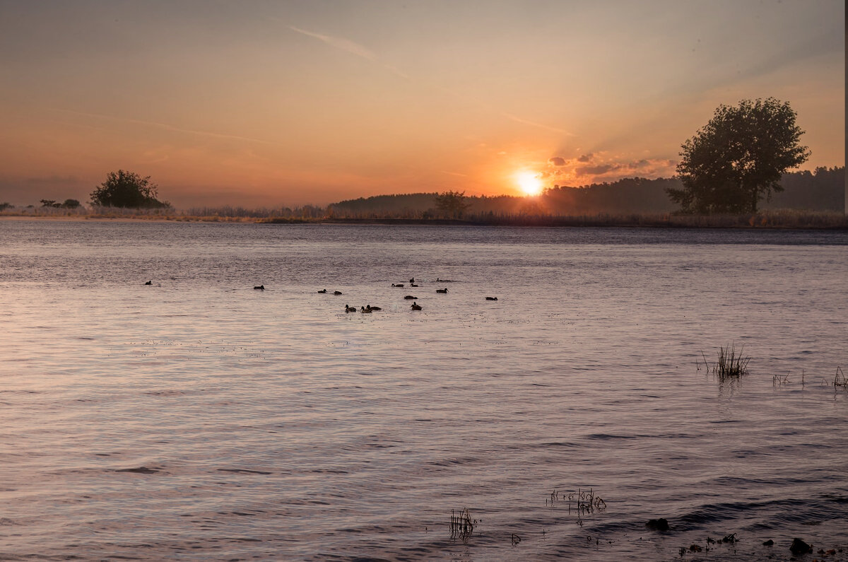 Восход солнца на Волге. - Анатолий Уткин