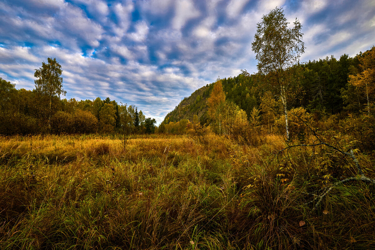 Тихое утро сентября 2. - Юрий кот