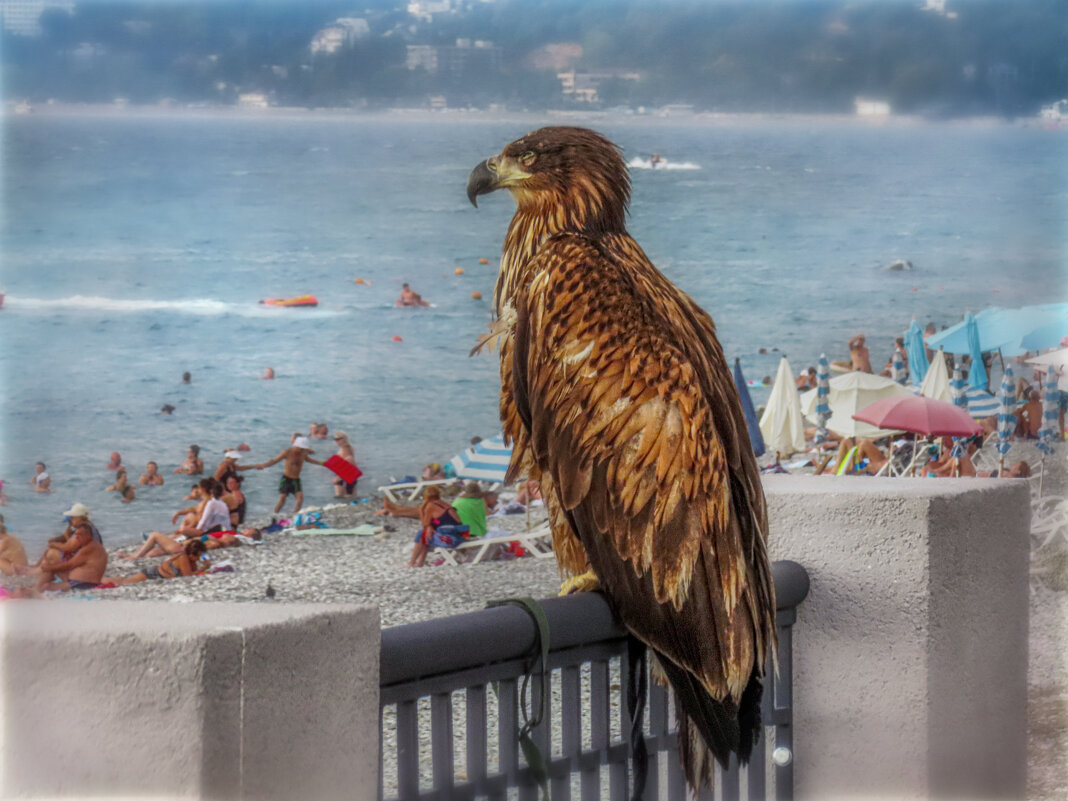 Людишки. Всё чего-то суетятся.. - AZ east3