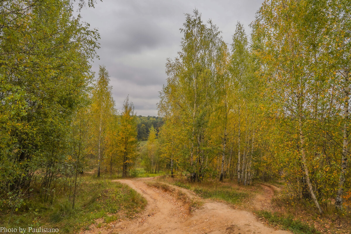 Палитра сентября... - Владимир Жданов
